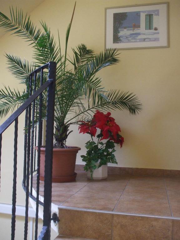 Turul Etterem Es Panzio Hotel Kaposvár Buitenkant foto
